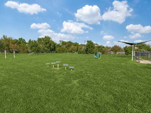 A green field with a blue and white goal post.