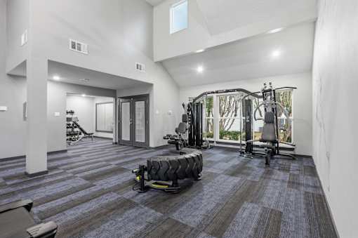 A gym with a variety of equipment including a treadmill, weights, and a bench press.