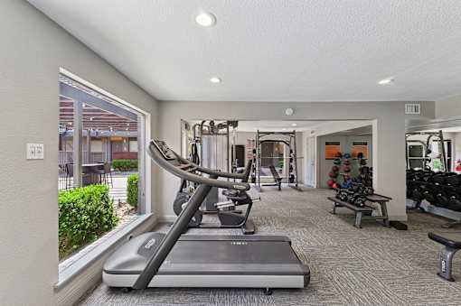 A treadmill is in the middle of a room with exercise equipment.