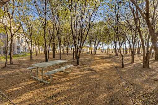 A picnic table is surrounded by trees in a park.