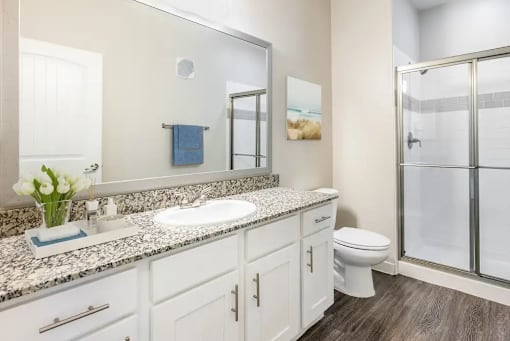 A bathroom with a sink, toilet, and a mirror.