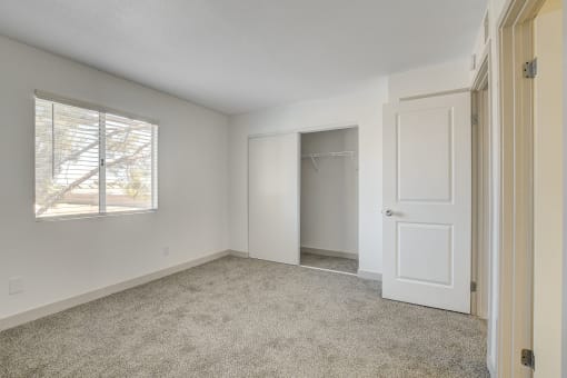 a bedroom with a closet and a window