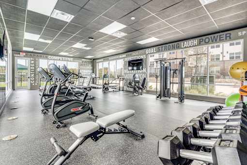 A gym with a variety of equipment including weights and a rowing machine.
