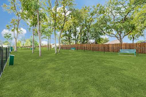 A green lawn with trees and a bench.