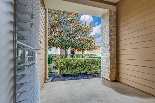 A view from a covered walkway looking out to a tree and shrubs.