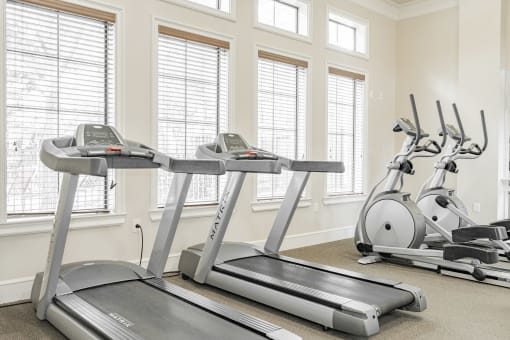 the gym is equipped with treadmills and ellipticals