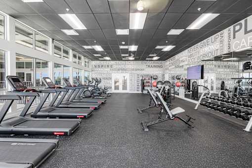 A gym with treadmills and weights is clean and empty.