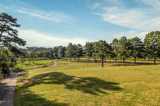 A winding path through a grassy field with trees on the side.