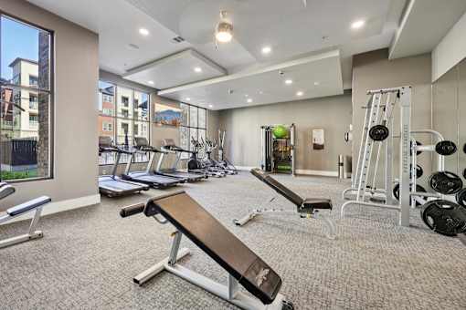A spacious gym with a variety of equipment including a bench press, treadmills, and dumbbells.