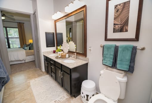 bathroom in houston texas apartments
