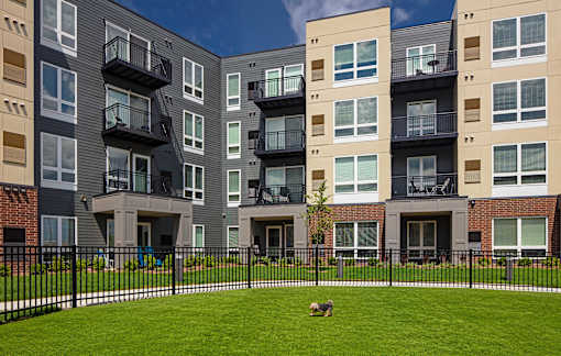 A dog is sitting on the grass in front of apartment buildings.