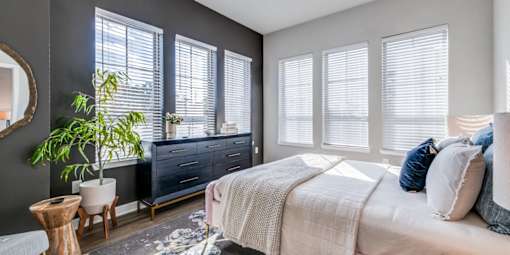 A bedroom with a bed, dresser, and a potted plant.