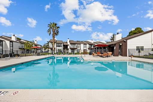 A large swimming pool in front of a building with a palm tree in the background.