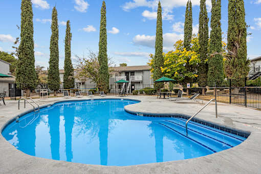 A swimming pool surrounded by tall trees and a fence.