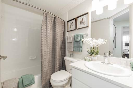 A white bathroom with a toilet, sink, and shower.