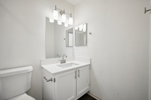 a bathroom with a sink and a mirror and a toilet