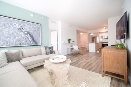 Apartment Living Room Florida