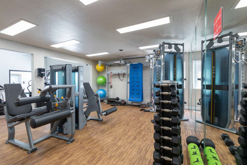 a gym with weights and cardio equipment on the floor and a mirrored wall