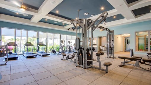 Fitness area