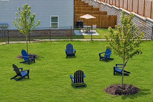A small tree is planted in a circle of dirt in a yard with blue chairs.