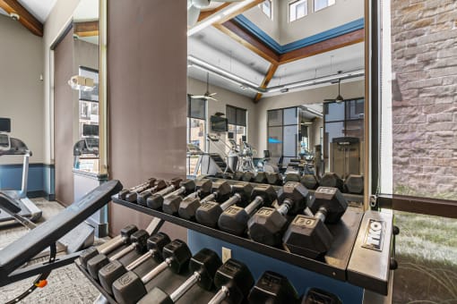 a weights rack in a gym with weights on it