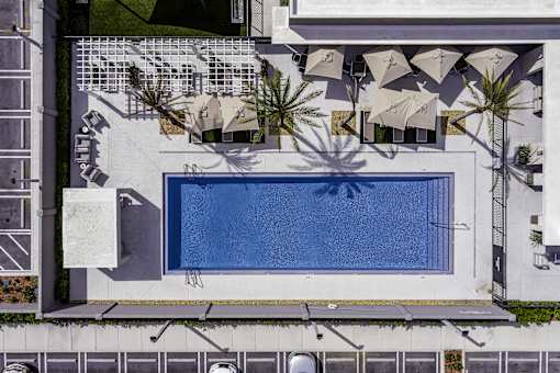 A swimming pool surrounded by palm trees and umbrellas.