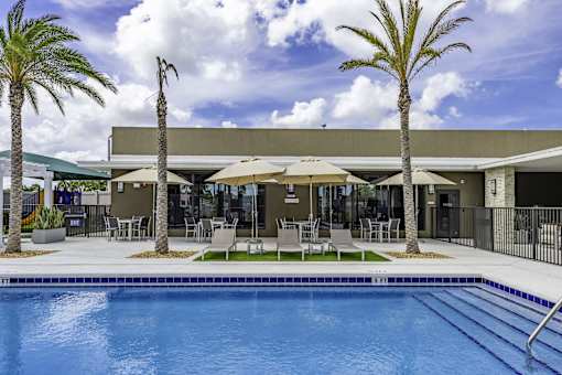 A pool area with a blue pool and palm trees.