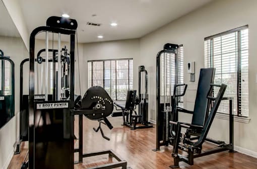 A gym with a row of black weight machines.
