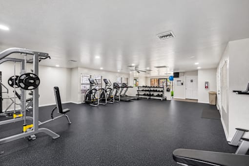 A spacious gym with a variety of equipment including a weight bench, a treadmill, and a rowing machine.