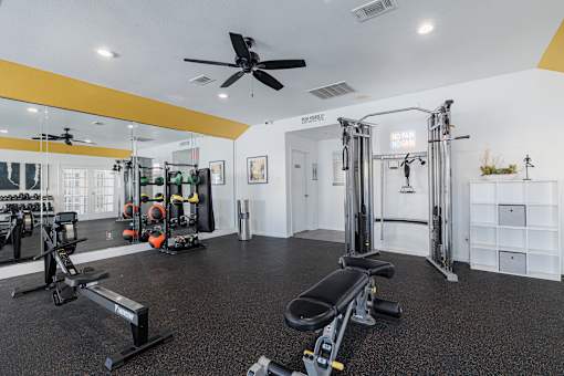 A gym with a variety of equipment including a squat rack, bench, and weights.