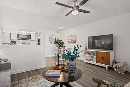 A living room with a ceiling fan, a couch, a coffee table, and a television.
