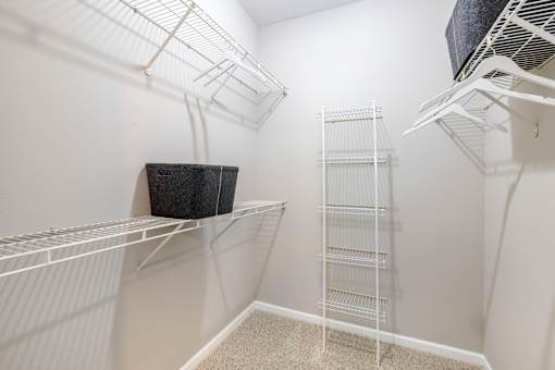 A white empty walk-in closet with a carpeted floor.