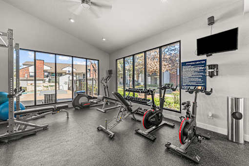 the gym has plenty of cardio equipment and windows