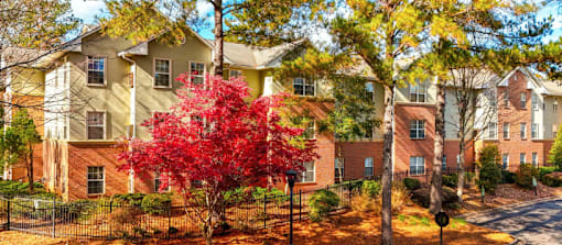 A tree with red leaves in front of apartment buildings.
