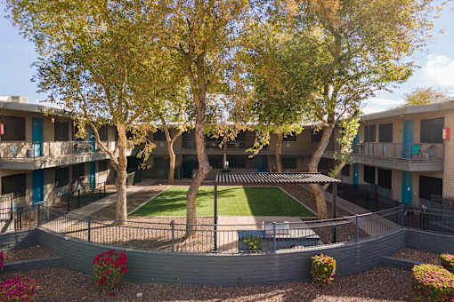 A courtyard with a lawn and trees.