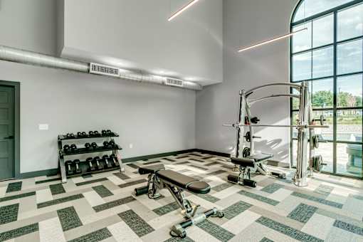 A gym with a bench, weights, and a squat rack.