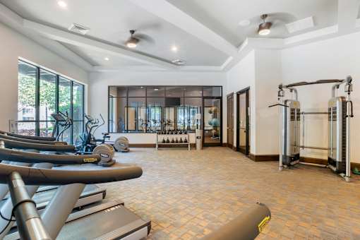 A gym with treadmills, weights, and a squat rack.