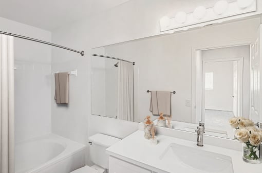 a bathroom with a sink and a mirror and a bath tub