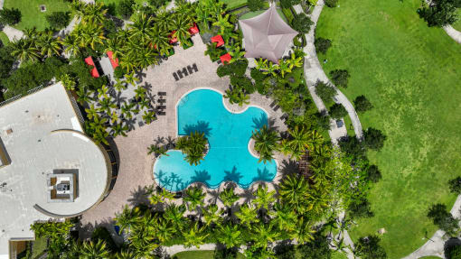 an overhead view of a swimming pool with palm trees