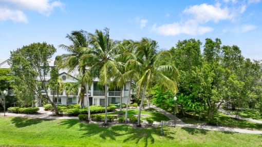 a white house with palm trees in front of it