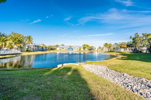 Lake view