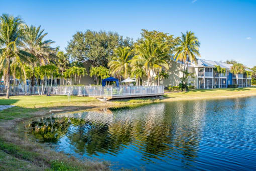 Lake view