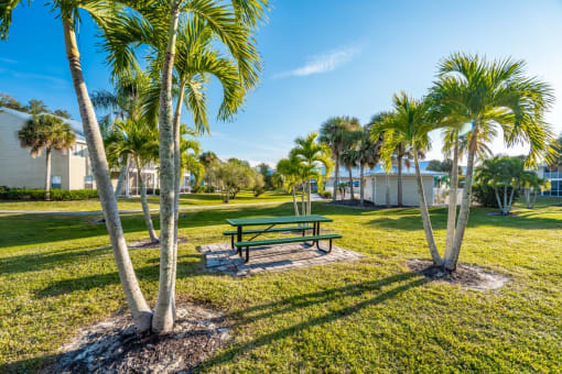 Outdoor picnic area