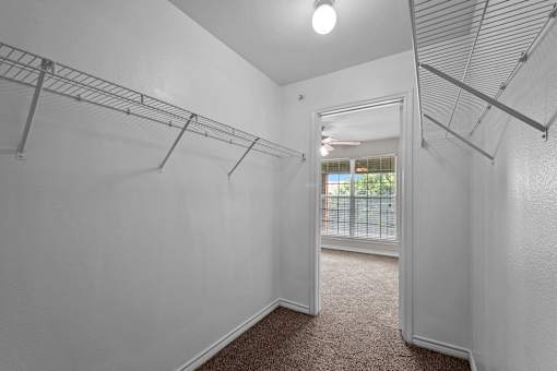 A white room with a carpeted floor and a closet with shelves.