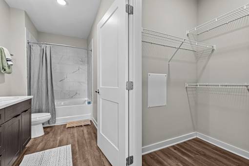 A white door is open to a walk-in closet.