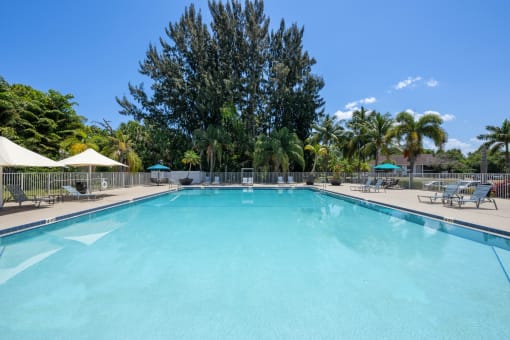 a swimming pool at a resort with palm trees