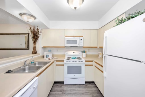 a kitchen with a refrigerator freezer and a stove top oven