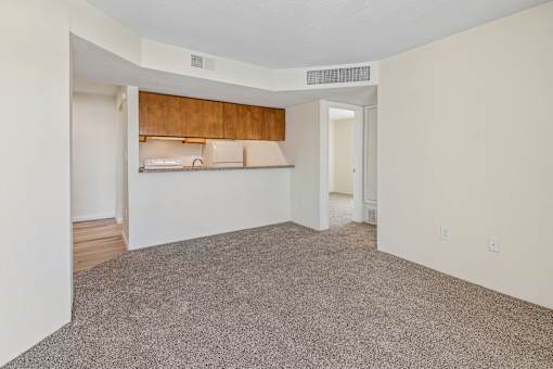 A room with a carpeted floor and a wooden cabinet above a counter.