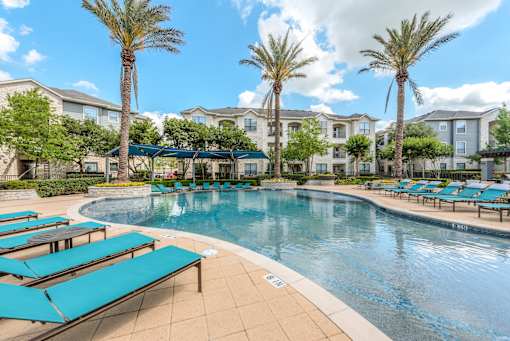 A swimming pool surrounded by sun loungers and palm trees.