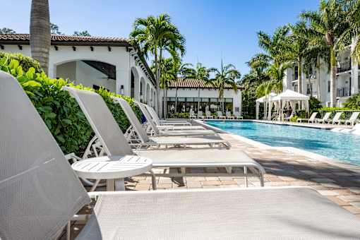 A row of sun loungers are on the edge of a pool.